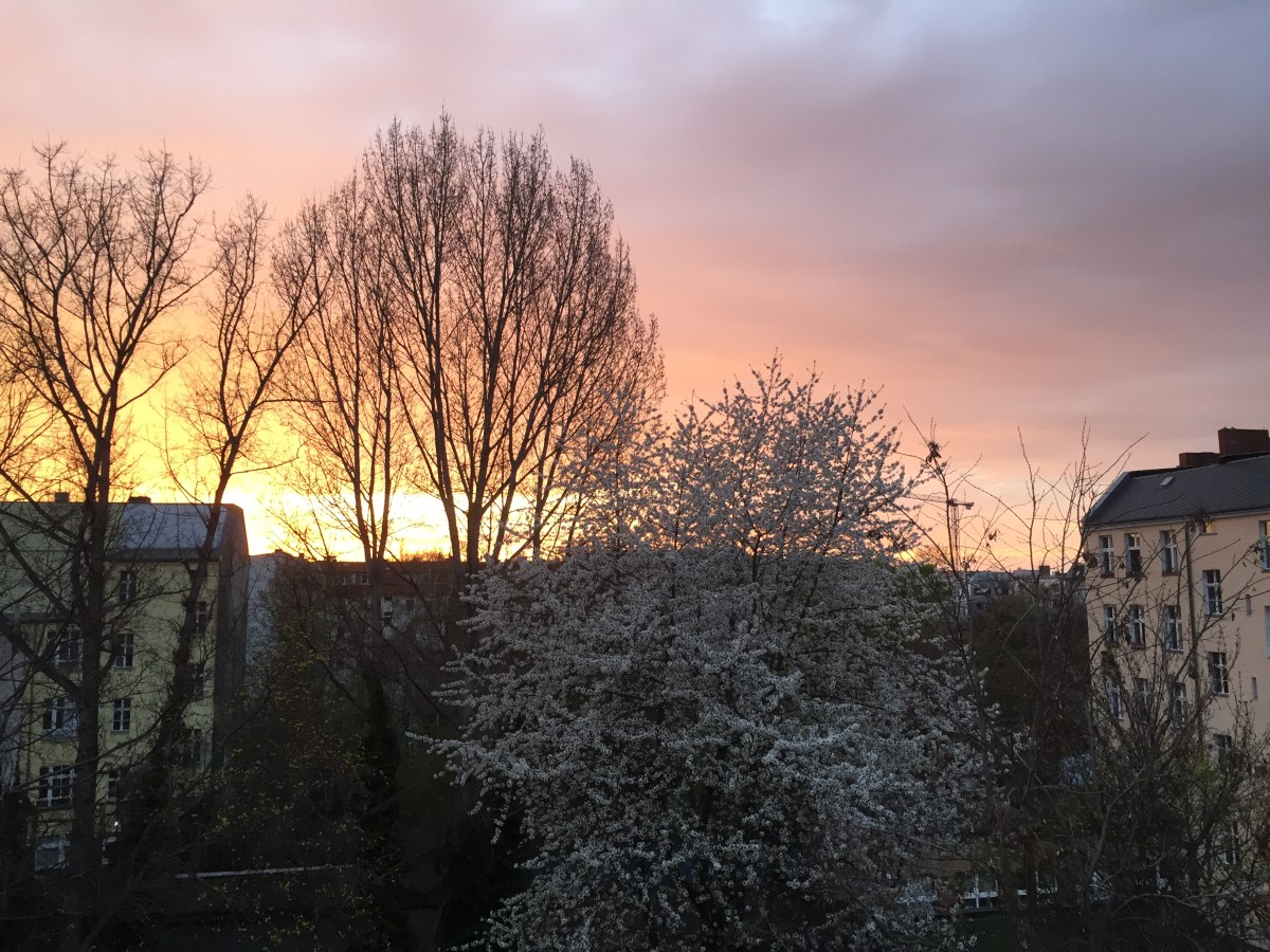 Geburtstagskind des Tages –&nbsp;Jens