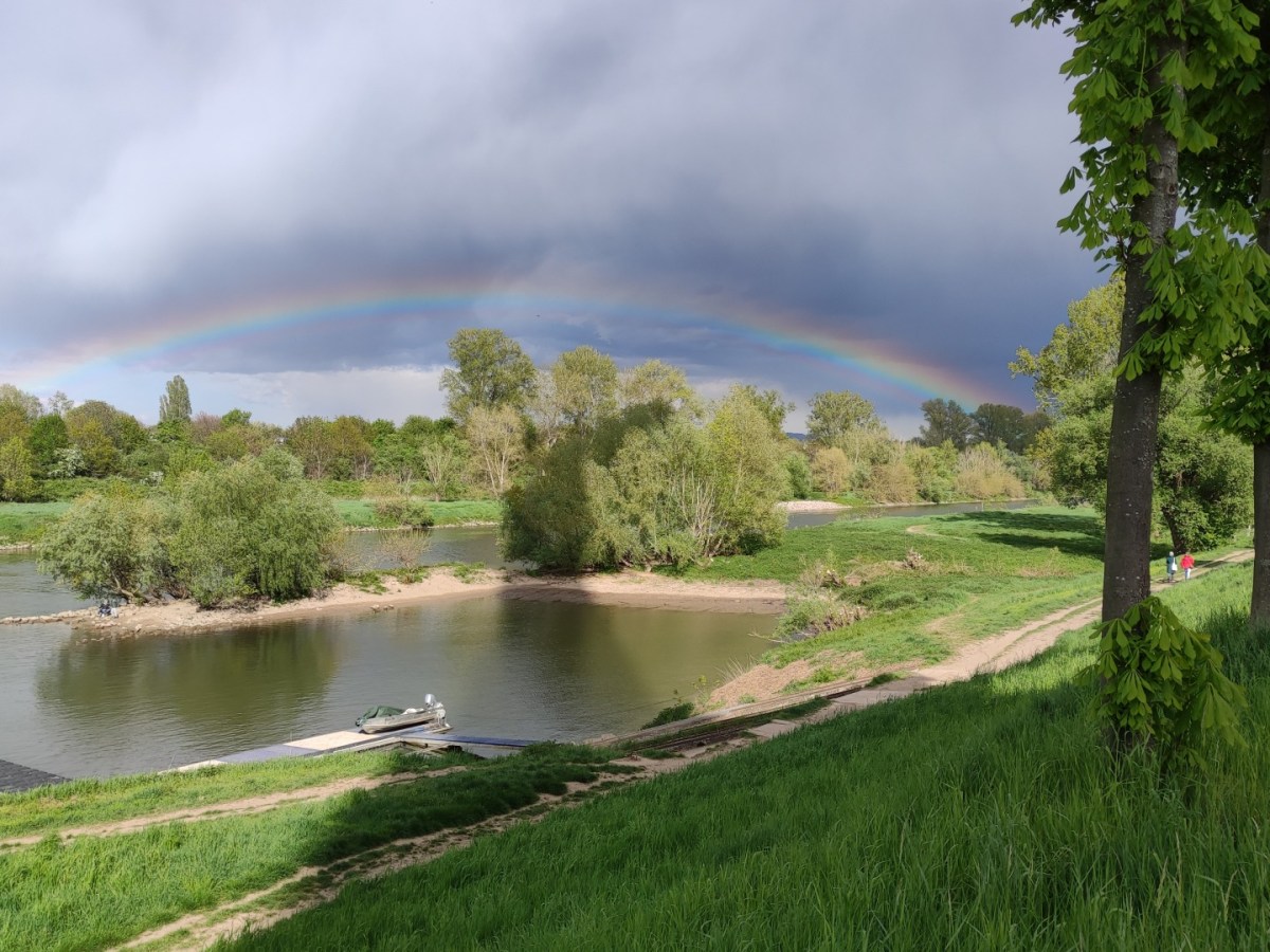 Regenbögen aus aller Welt – hier über dem&nbsp;Neckar