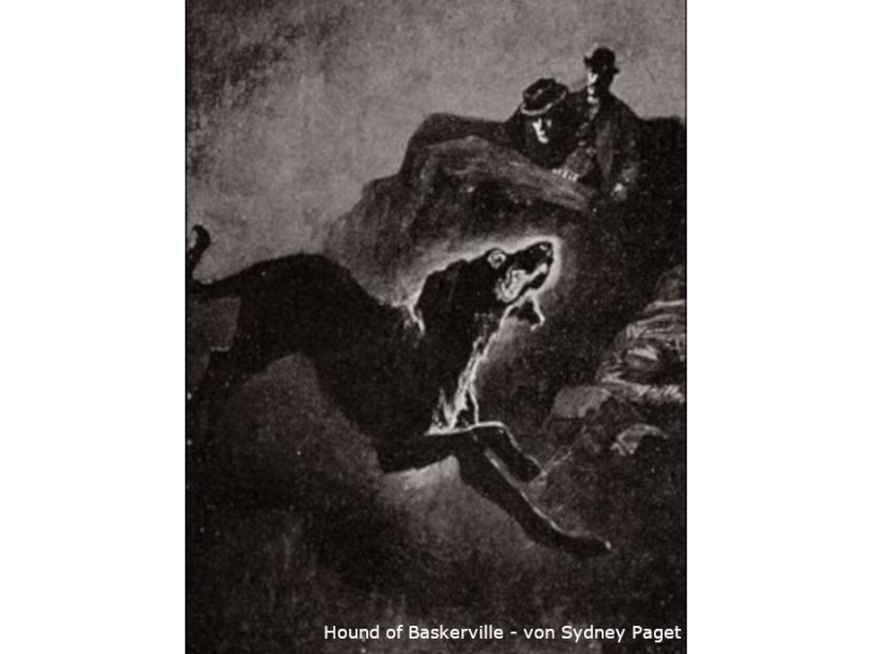 Zuviel Haie, zu wenig Fischstäbchen, aber es tut sich was – von „Karlsson ohne&nbsp;Dach“