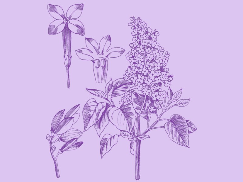 in memoriam –&nbsp;David