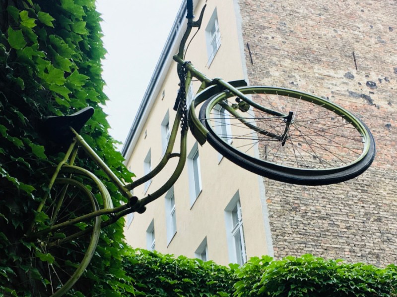 Geburtstagskind des Tages –&nbsp;Julius