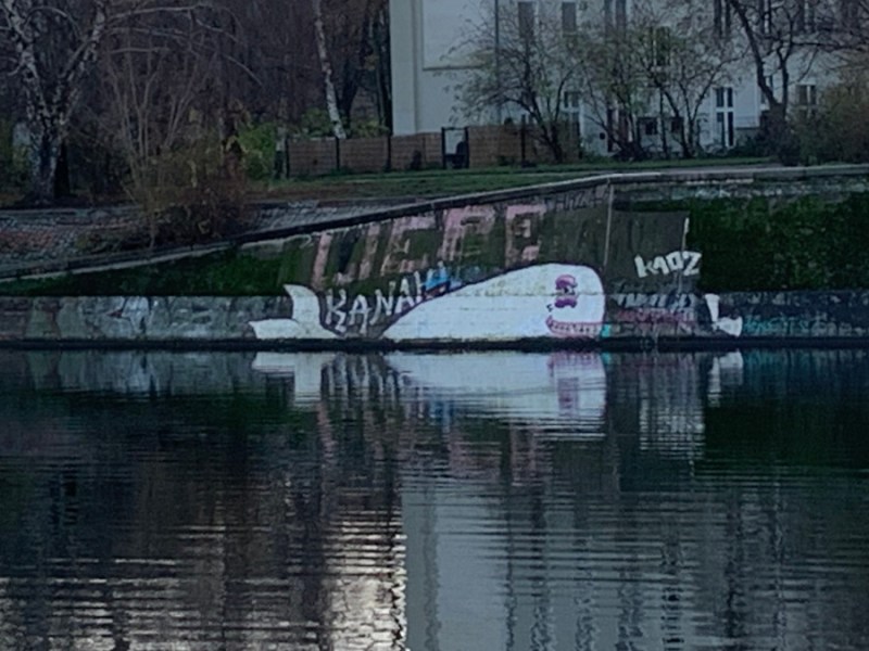 Suchbild | Wo schwimmt der&nbsp;Wal?