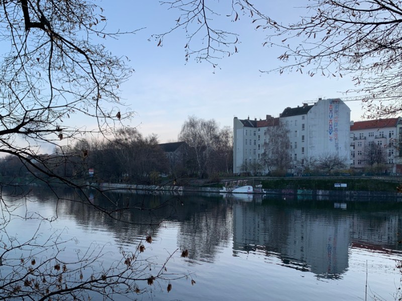 Der Wal schwimmt im&nbsp;Dreiländereck