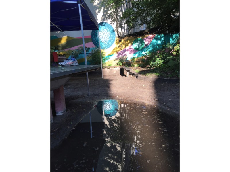 Geburtstagskind des Tages –&nbsp;Andy